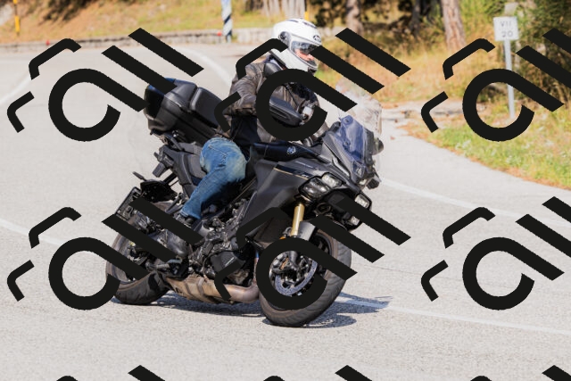 202509131519-_04A9441_c3