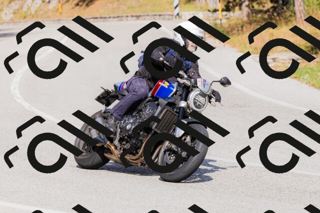 202509131519-_04A9442_c3