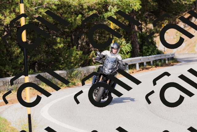 202509131519-_04A9445_c3