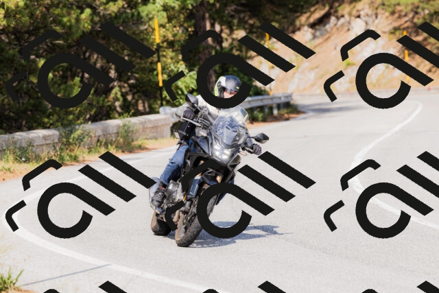 202509131519-_04A9446_c3