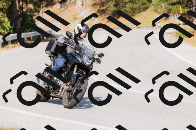 202509131519-_04A9447_c3