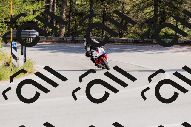 202509131519-_04A9450_c3