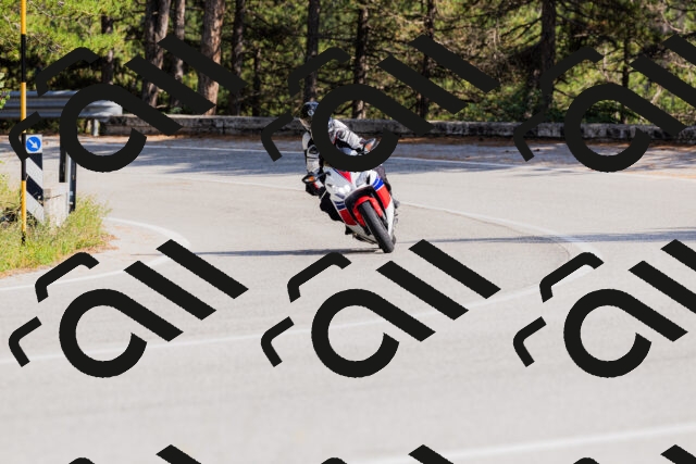 202509131519-_04A9451_c3