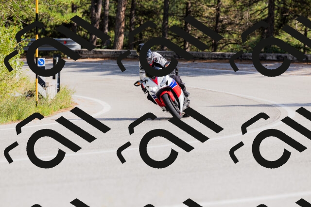 202509131519-_04A9452_c3