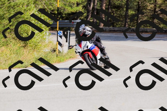 202509131519-_04A9453_c3