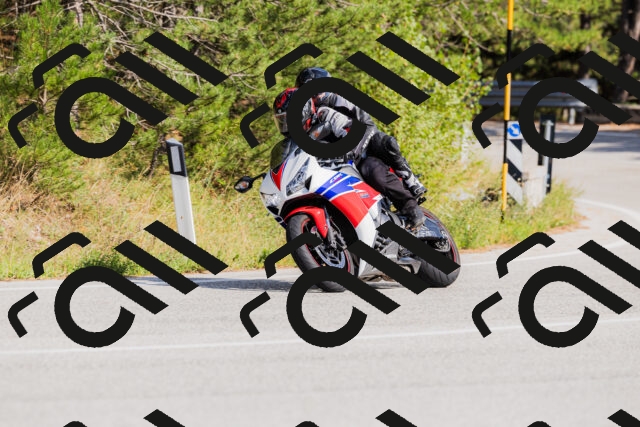 202509131519-_04A9454_c3