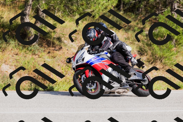 202509131519-_04A9455_c3