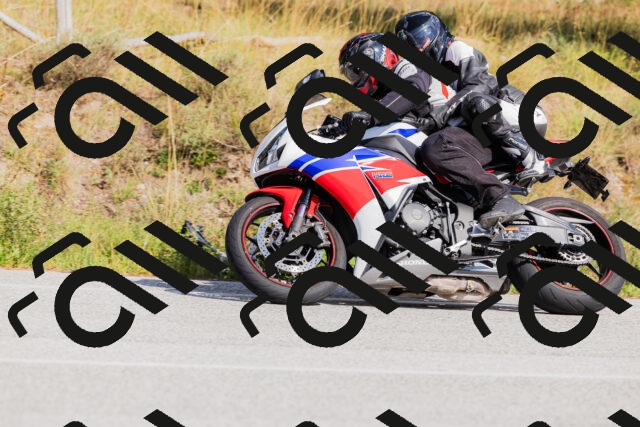 202509131519-_04A9456_c3