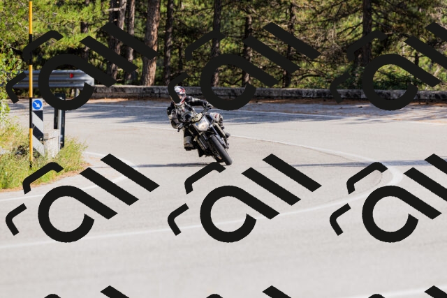 202509131521-_04A9457_c3