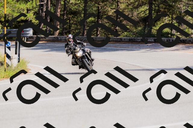 202509131521-_04A9458_c3