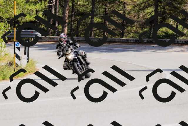 202509131521-_04A9459_c3