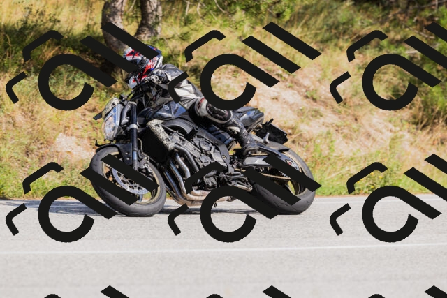 202509131521-_04A9462_c3