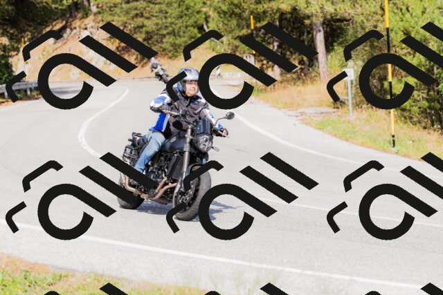 202509131521-_04A9466_c3