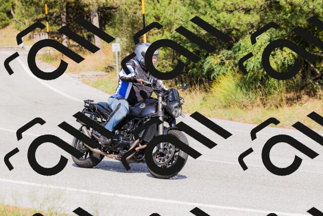 202509131521-_04A9467_c3