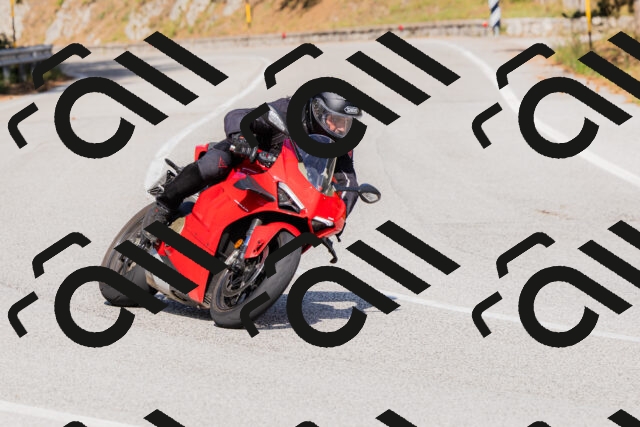 202509131523-_04A9478_c3