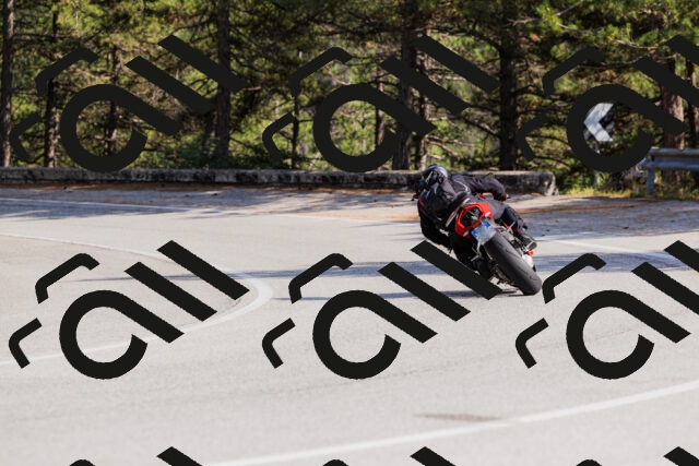 202509131523-_04A9485_c3