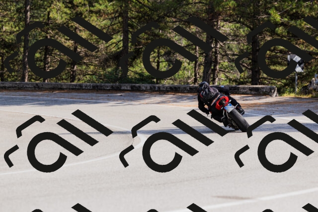 202509131523-_04A9486_c3