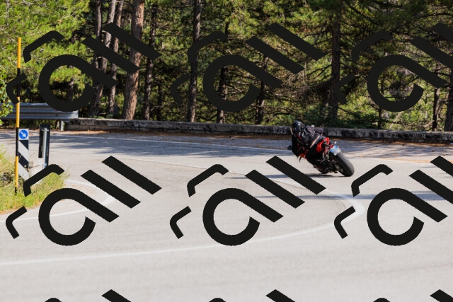 202509131523-_04A9488_c3