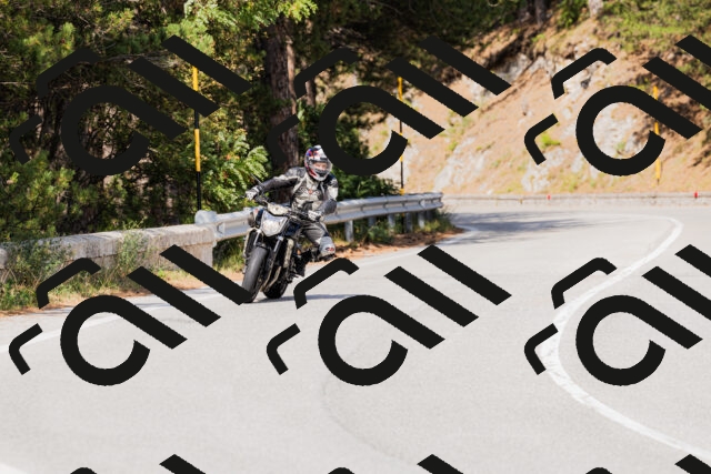 202509131524-_04A9491_c3