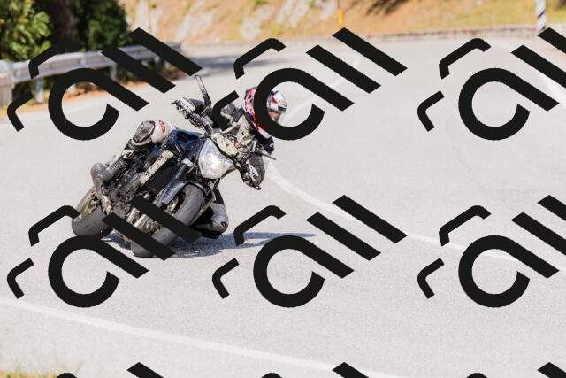 202509131524-_04A9494_c3