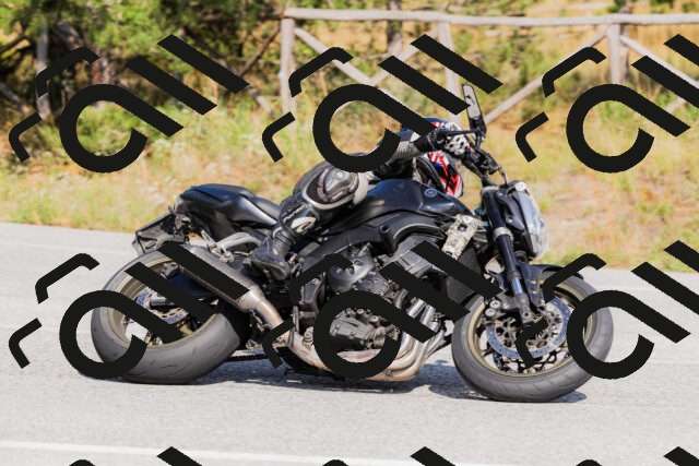 202509131524-_04A9496_c3