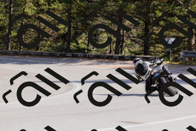 202509131524-_04A9500_c3