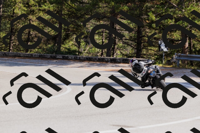 202509131524-_04A9501_c3