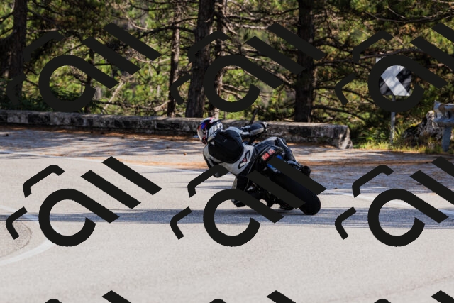 202509131524-_04A9502_c3