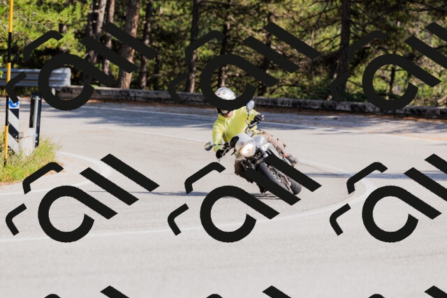 202509131525-_04A9507_c3