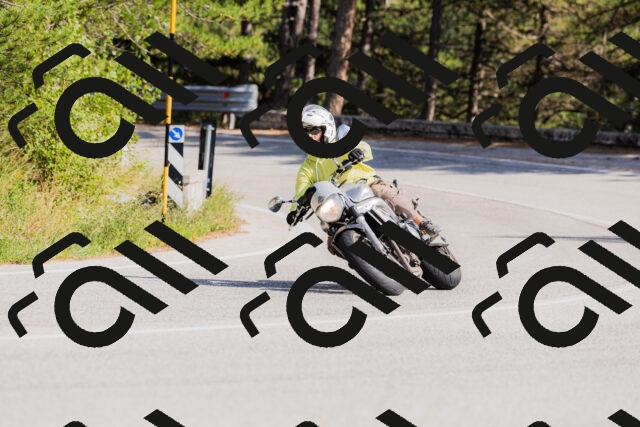 202509131525-_04A9508_c3