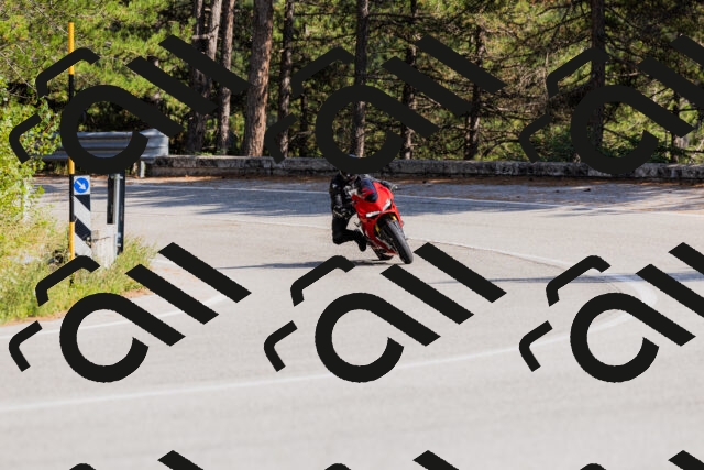 202509131525-_04A9511_c3