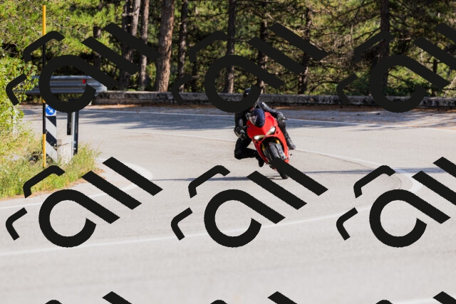 202509131525-_04A9513_c3