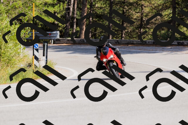 202509131525-_04A9514_c3