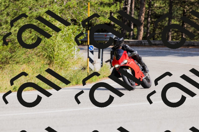 202509131525-_04A9515_c3