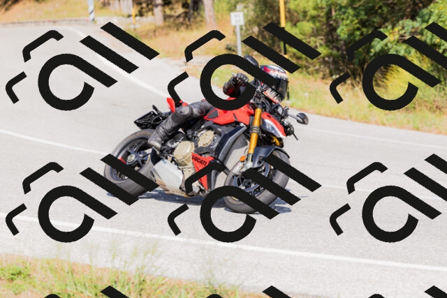 202509131527-_04A9528_c3