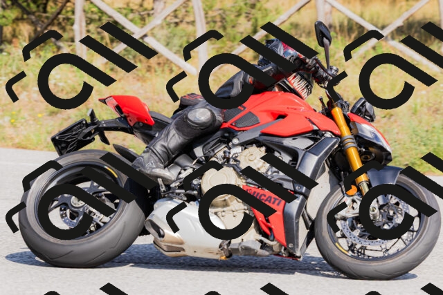 202509131527-_04A9529_c3