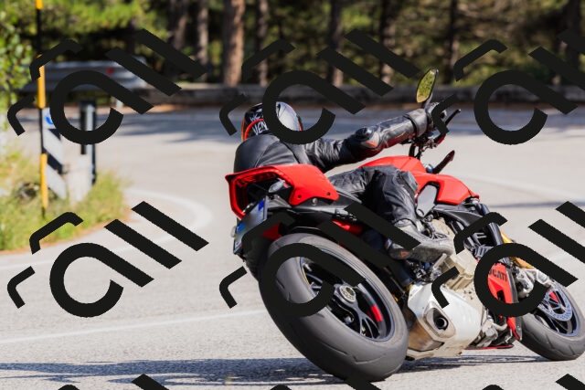 202509131527-_04A9531_c3