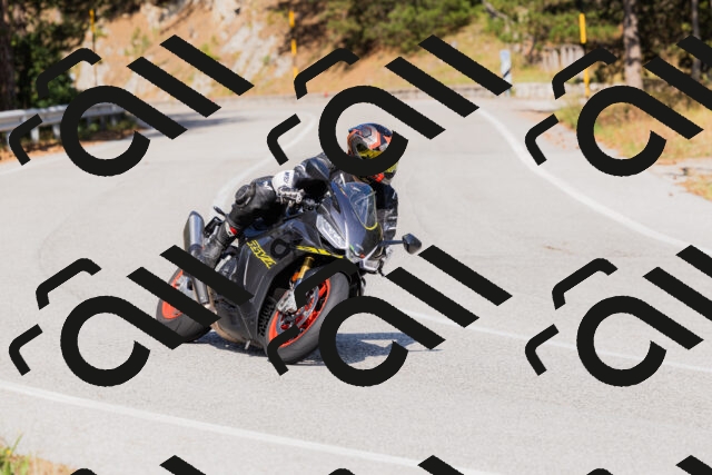 202509131528-_04A9534_c3