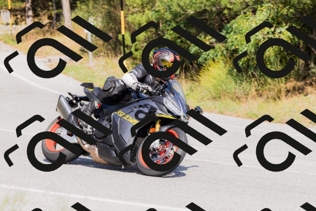 202509131528-_04A9535_c3