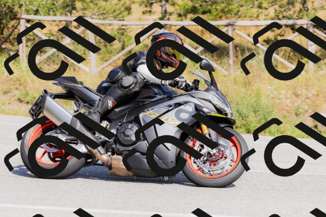 202509131528-_04A9536_c3