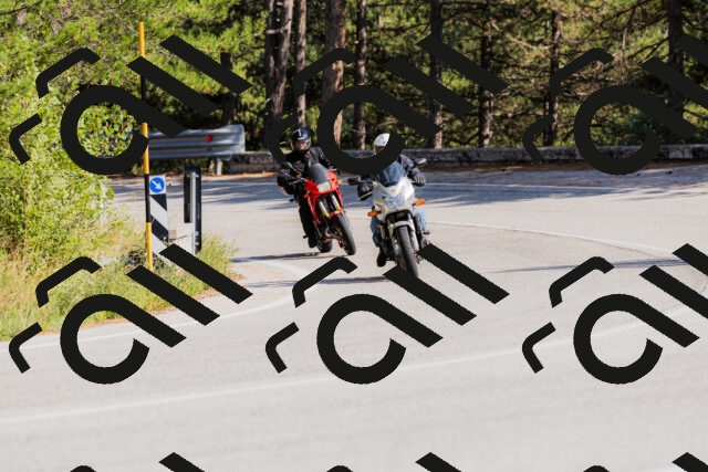 202509131528-_04A9538_c3