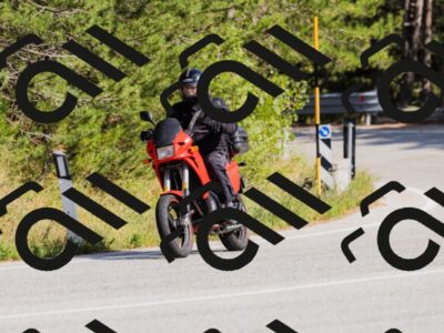 202509131528-_04A9542_c3