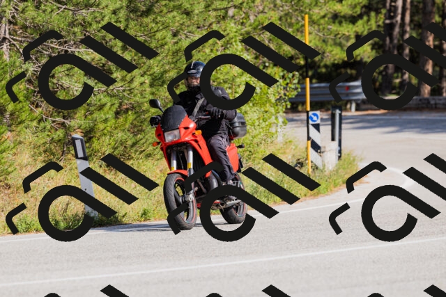 202509131528-_04A9542_c3