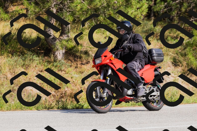 202509131528-_04A9544_c3