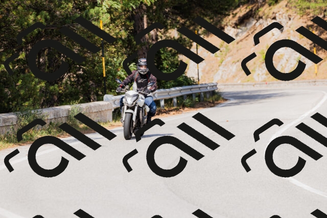 202509131529-_04A9545_c3