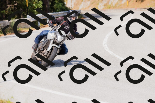 202509131529-_04A9548_c3