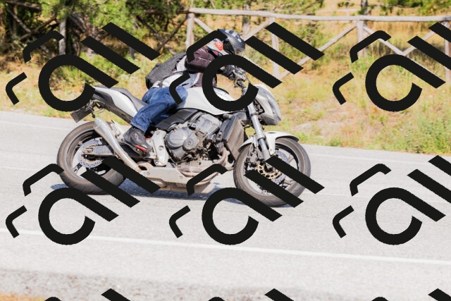 202509131529-_04A9551_c3