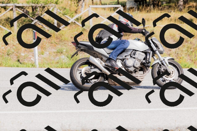 202509131529-_04A9552_c3