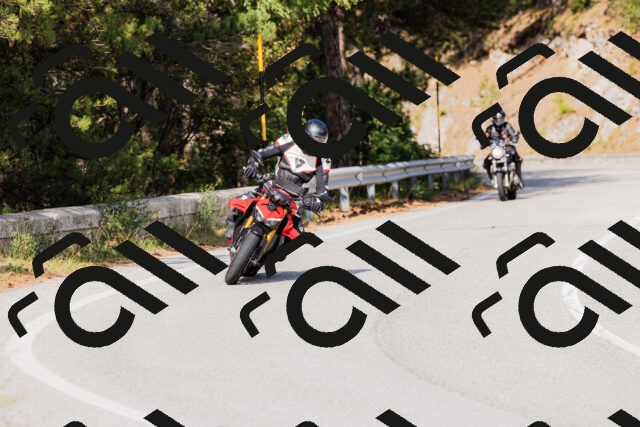 202509131529-_04A9553_c3