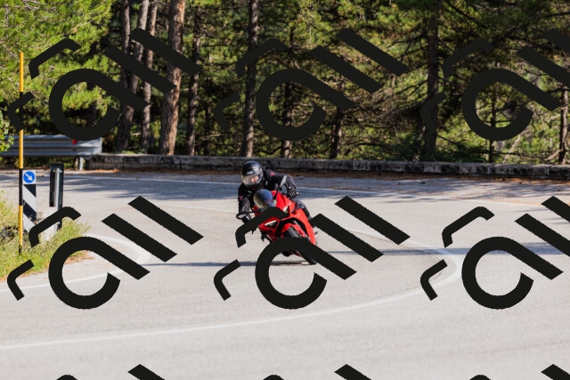 202509131530-_04A9590_c3